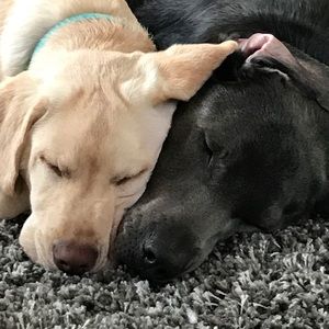 Meet your Posher, Avery